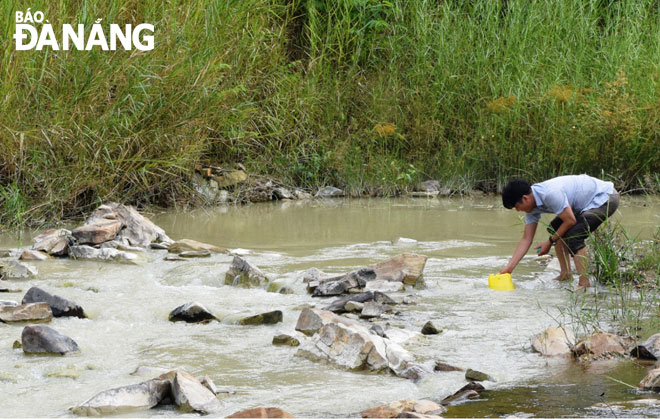 Cán bộ kỹ thuật của Dawaco lấy mẫu nước xả thải từ hoạt động khai thác vàng ở khe 39, xã Phước Hòa. 	                  Ảnh: HOÀNG HIỆP