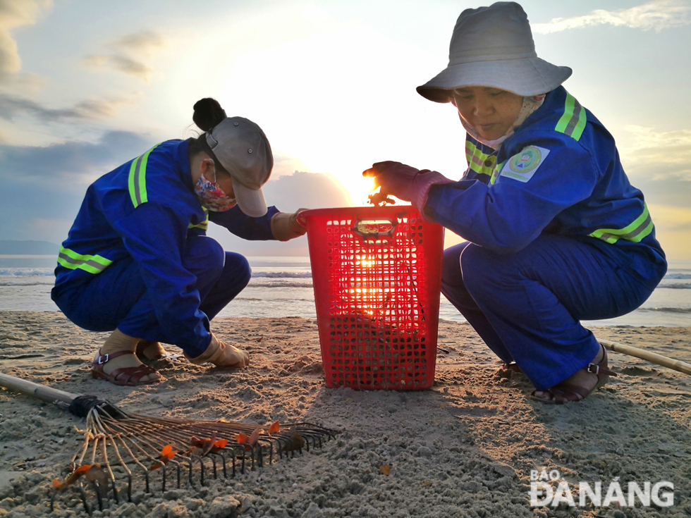 With rakes and trash baskets, sanitation workers collecting a large number of bottles, bottle caps, empty beer cans, and snails