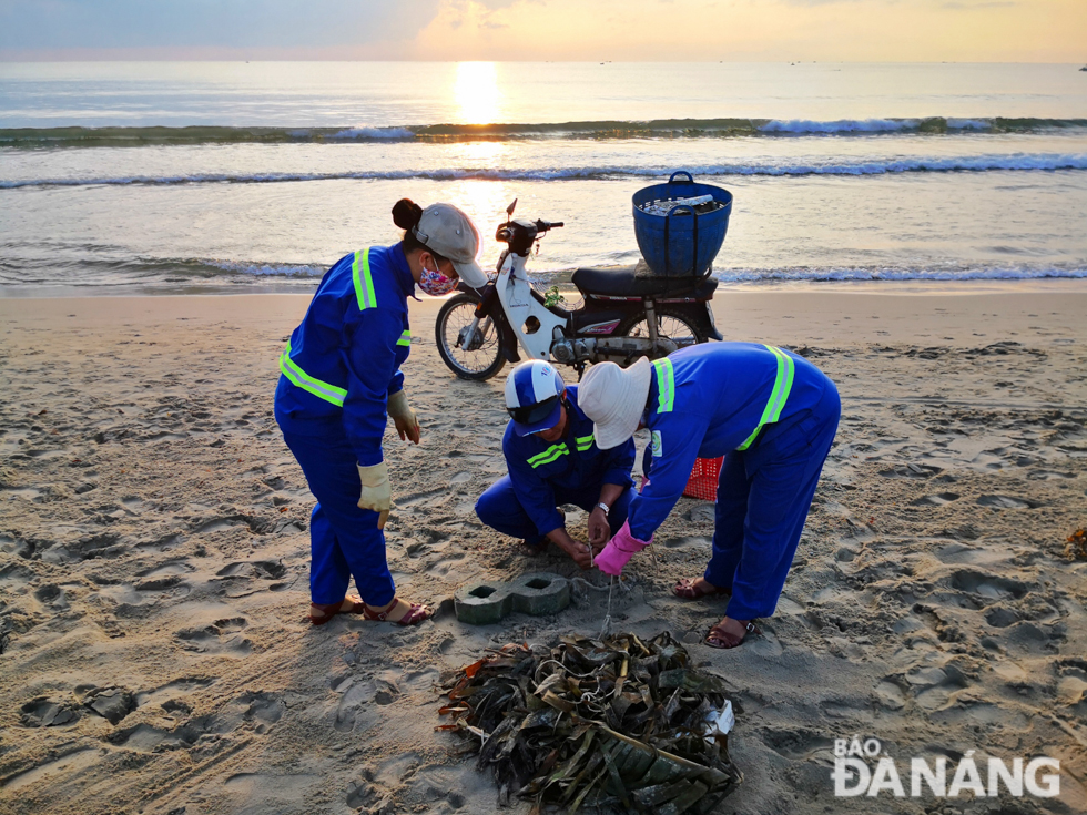 Sanitation workers clearing trash in a beach