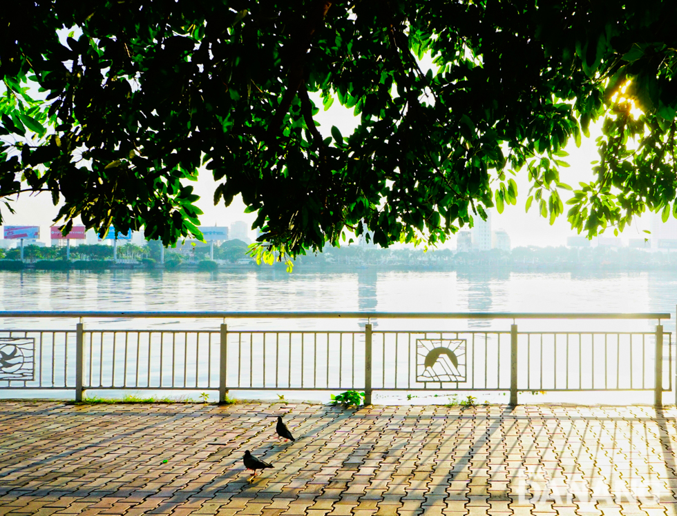 A romantic and peaceful moment of the city 