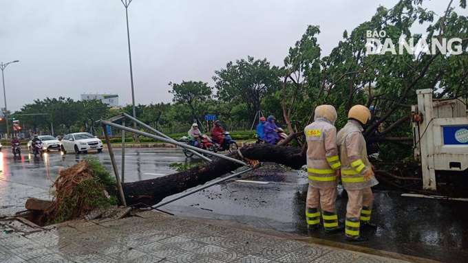 Lực lượng Cảnh sát giao thông thành phố tham gia xử lý cây xanh ngã đổ, bảo đảm an toàn giao thông trên tuyến Quốc lộ 1A. Ảnh: NAM PHƯƠNG