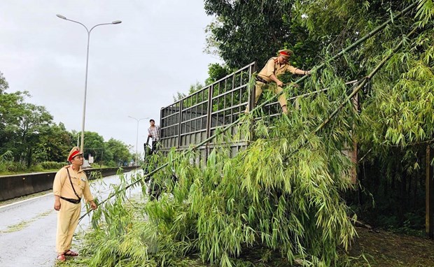 Cán bộ chiến sỹ Cảnh sát giao thông Quảng Nam tham gia thu dọn cây gãy đổ sau bão số 5. (Ảnh Trần Tĩnh/TTXVN)