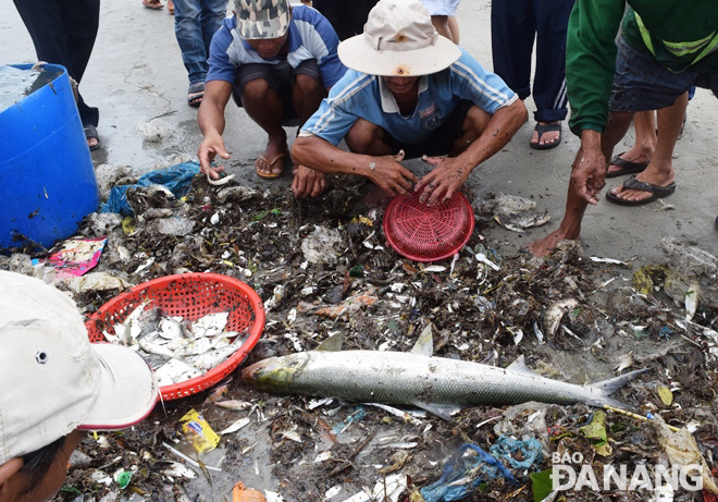 Xử lý rác thải tấp vào các bãi biển sau mưa lớn