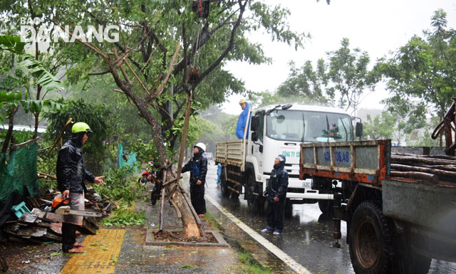  The re-planting of fallen trees in progress on a section of Le Duc Tho Street