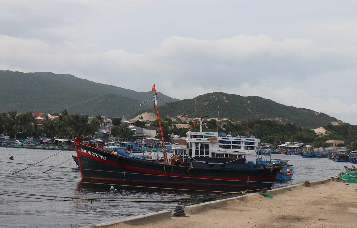 Tàu thuyền đánh bắt thuỷ sản của ngư dân neo đậu ở cảng để tránh trú. (Ảnh: Nguyễn Dũng/TTXVN)