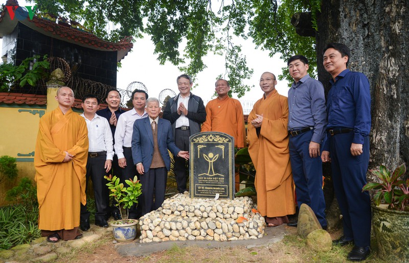 Thượng tọa Thích Thanh Lịch, Phó trưởng Ban Trị sự Giáo hội Phật giáo Việt Nam tỉnh Quảng Ninh, Trụ trì chùa Đống Phúc cho biết, đây là niềm tự hào chung của tất cả nhân dân trong vùng, cũng là sự động viên lớn đối với tăng ni Phật tử của chùa. Sự công nhận này sẽ góp phần bảo vệ cây quý, khơi dậy tinh thần bảo vệ môi trường, giáo dục truyền thống yêu nước, bảo vệ các di sản của cha ông.