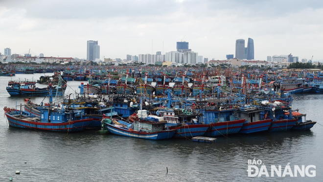 Hiện có 1.093 tàu cá đang neo đậu trú bão ở âu thuyền Thọ Quang.