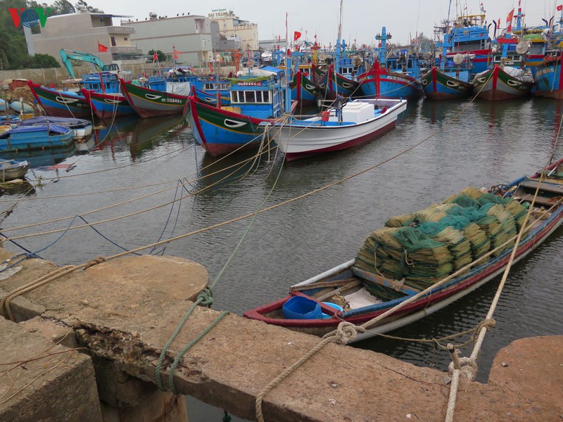 Tại cảng cá Tịnh Kỳ, thành phố Quảng Ngãi, tỉnh Quảng Ngãi. Thời tiết khu vực này âm u, gió nhẹ, thỉnh thoảng có mưa rào. Nơi đây hiện có hơn 1.000 tàu cá lớn nhỏ của ngư dân địa phương và các khu vực lân cận vào trú, tránh bão.