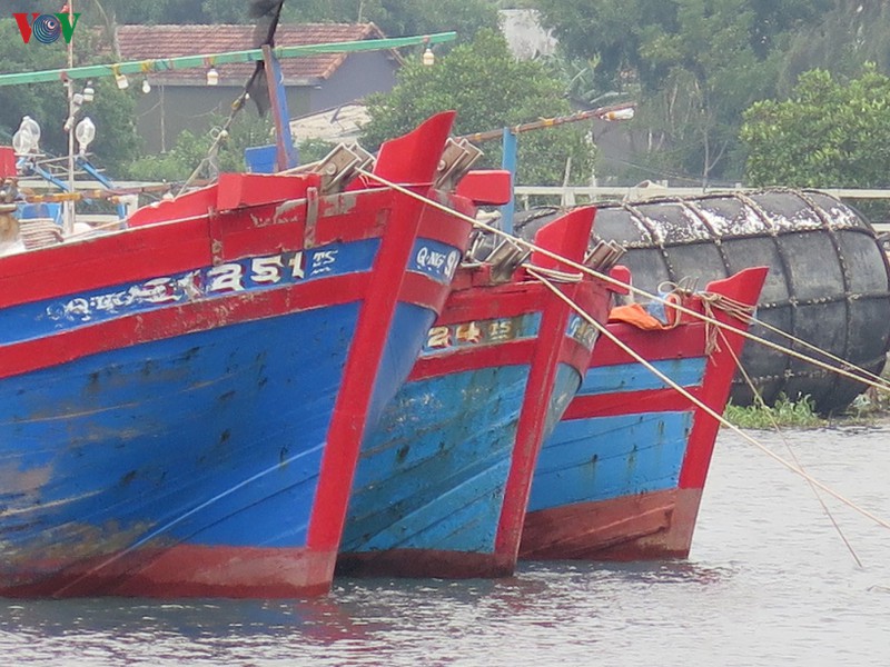 Các ngư dân chủ động neo tàu, dùng dây thừng buộc vào các cột bê tông trên cầu cảng.