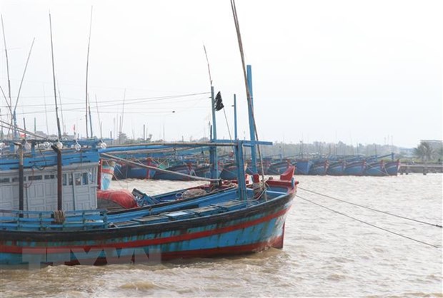 Tàu thuyền của ngư dân Phú Yên vào neo đậu tránh bão tại cảng cá Đông Tác, phường Phú Đông, thành phố Tuy Hòa. (Ảnh: Phạm Cường/TTXVN)