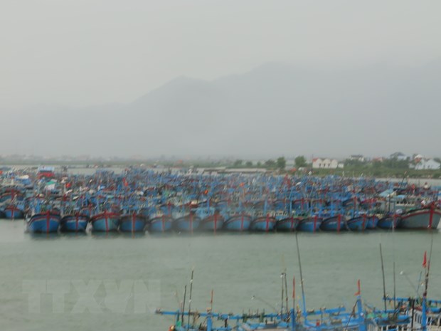 Tàu thuyền đang neo đậu tránh trú bão tại khu tránh trú bão Ninh Hải, thị xã Ninh Hòa, Khánh Hòa ngày 10/11. (Ảnh: Phan Sáu/TTXVN)