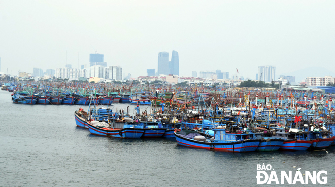 Photo: A total of 1,000 vessels from Da Nang and its neighbouring central coastal provinces being anchored at the city-based Tho Quang fishing wharf.