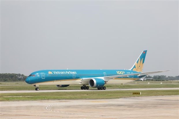 National flag carrier Vietnam Airlines and budget carrier Jetstar Pacific will supply nearly 230,000 extra seats from January 9 to February 8, 2020. (Photo: VNA)