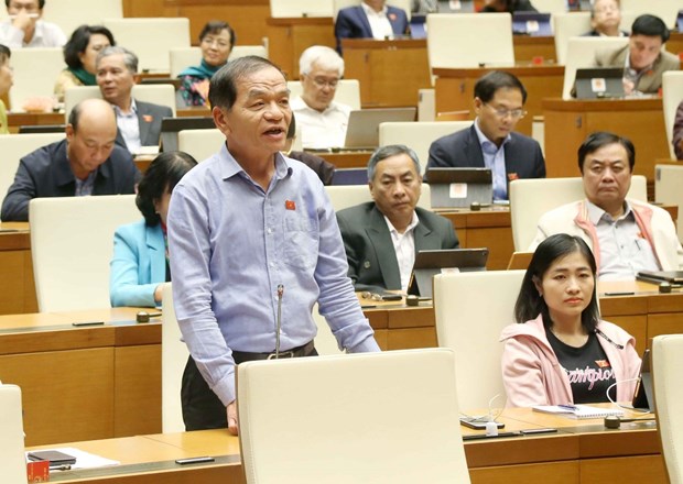 Đại biểu Quốc hội tỉnh Cà Mau Lê Thanh Vân. (Nguồn ảnh: TTXVN)