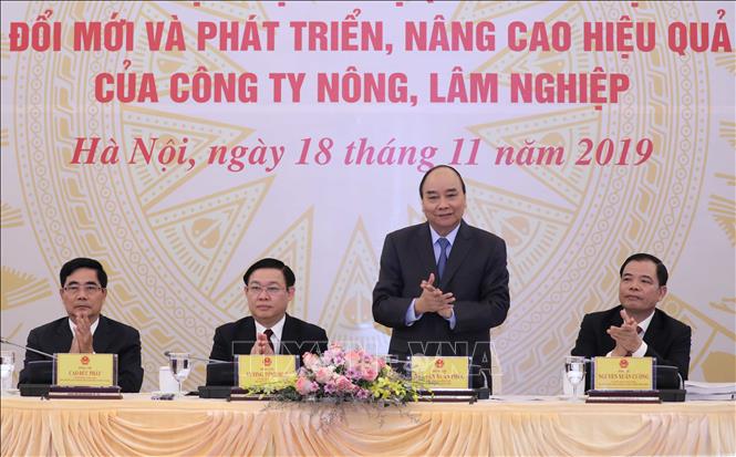 Thủ tướng Nguyễn Xuân Phúc cùng Phó Thủ tướng Vương Đình Huệ, Bộ trưởng Bộ Nông nghiệp và Phát triển Nông thôn Nguyễn Xuân Cường, Phó Trưởng Ban Kinh tế Trung ương Cao Đức Phát điều hành hội nghị. Ảnh: Thống Nhất/TTXVN