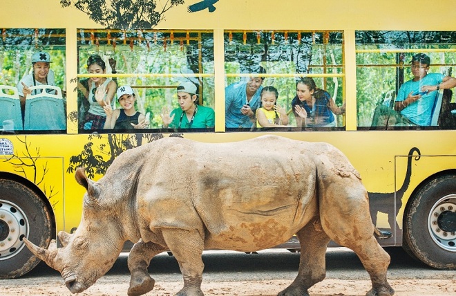 Tê giác trắng được chăm sóc và nhân giống bảo tồn nhờ phương pháp ghép đôi và phối giống tự nhiên.