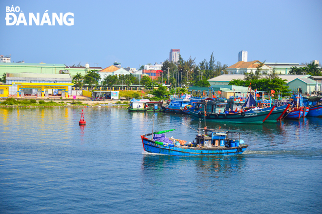  Fisheries is one of the economic aspects to achieve the year’s target. Fishing vessels are pictured to be ready for seting sail from the Tho Quang fishing wharf