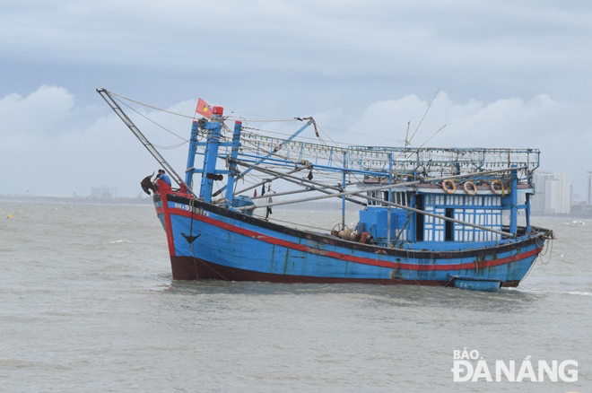Hiện đang có 131 tàu, thuyền với 1.142 lao động của Đà Nẵng đang hoạt động trên các vùng biển có gió đông bắc cấp 5-6.