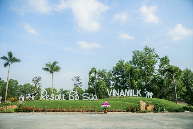 “Resort” bò sữa này là thành viên trong hệ thống chuẩn Global GAP lớn nhất châu Á về số lượng trang trại của Vinamilk .