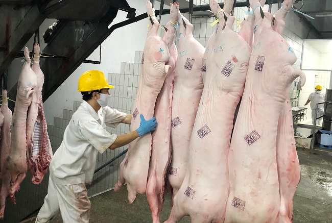 Các doanh nghiệp lớn tại TP Hồ Chí Minh đã chuẩn bị nguồn hàng thịt lợn để đảm bảo nguồn cung trong dịp Tết Nguyên đán 2020.