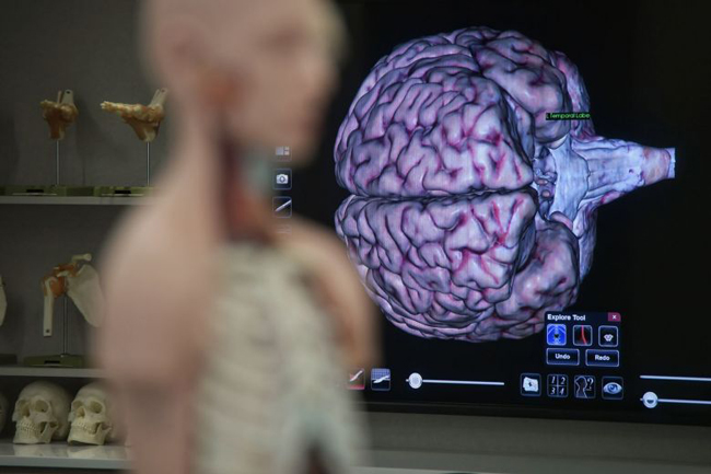 Ngân hàng não Singapore sẽ là nơi nghiên cứu về các mô não và tủy sống từ những người hiến tặng. Ảnh: straitstimes.com