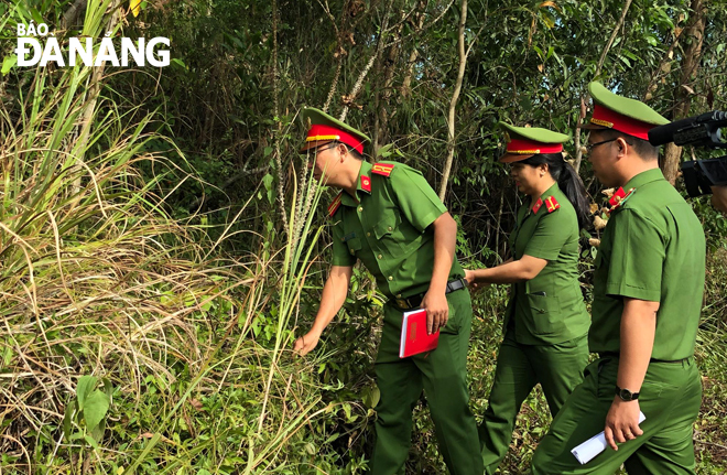 Kiểm tra công tác phòng cháy chữa cháy rừng tại một số địa phương. 