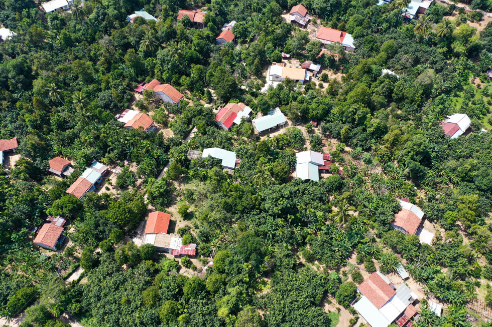 An overview of the fruit village from above