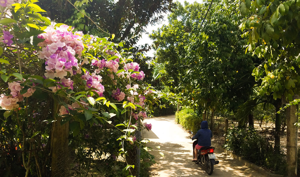 Village roads are surrounded by trees of varying shades of green