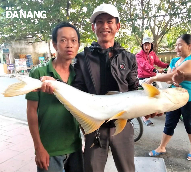 “Chiến lợi phẩm” ba sa nặng 8kg của “cần thủ” Nguyễn Thế Bảo Linh của Hội quán Ven Sông (xã Hòa Phong).