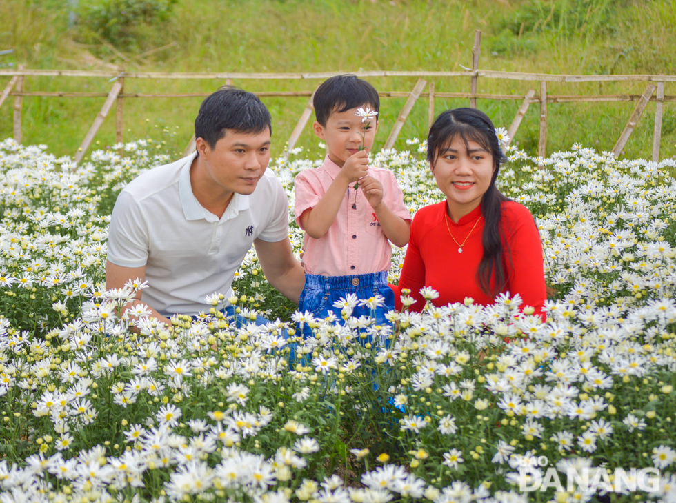  Since the pure-white daisies garden at the Biotechnology Centre is open to the public for free, every day see hundreds of visitors come here and take souvenir photos with these beautiful flowers