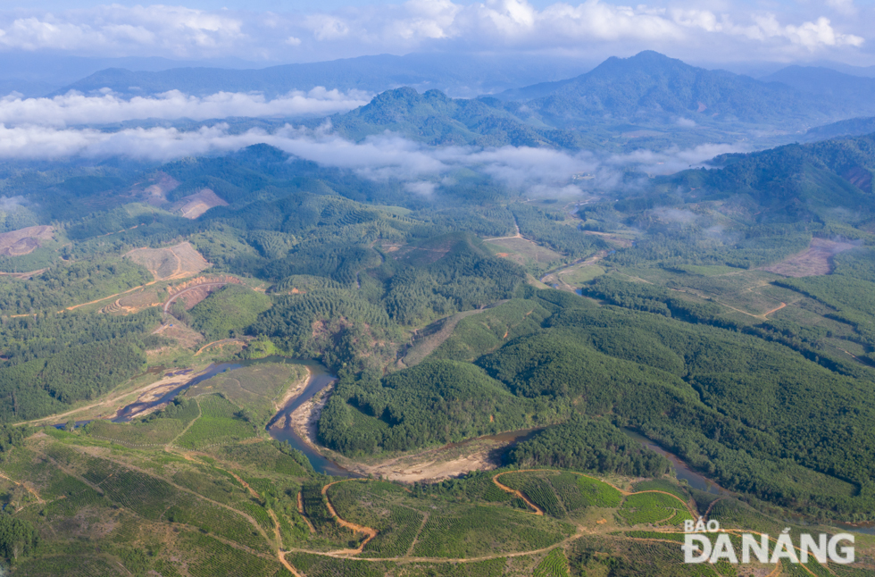 The bird's-eye view of the Dong Giang Tea Hill which belongs to the Quyet Thang Farrm.