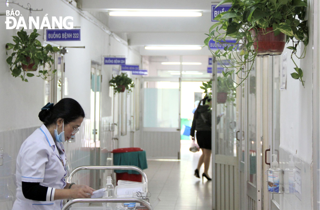 Dọc các hành lang Bệnh viện Đà Nẵng được trang trí hoa, cây xanh tạo không gian xanh mát. 