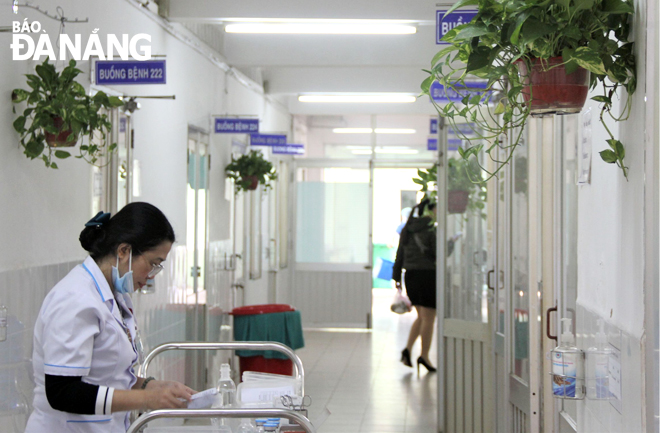 Recently, the Da Nang General Hospital’s staff have been involved in creating a green space in their working place in