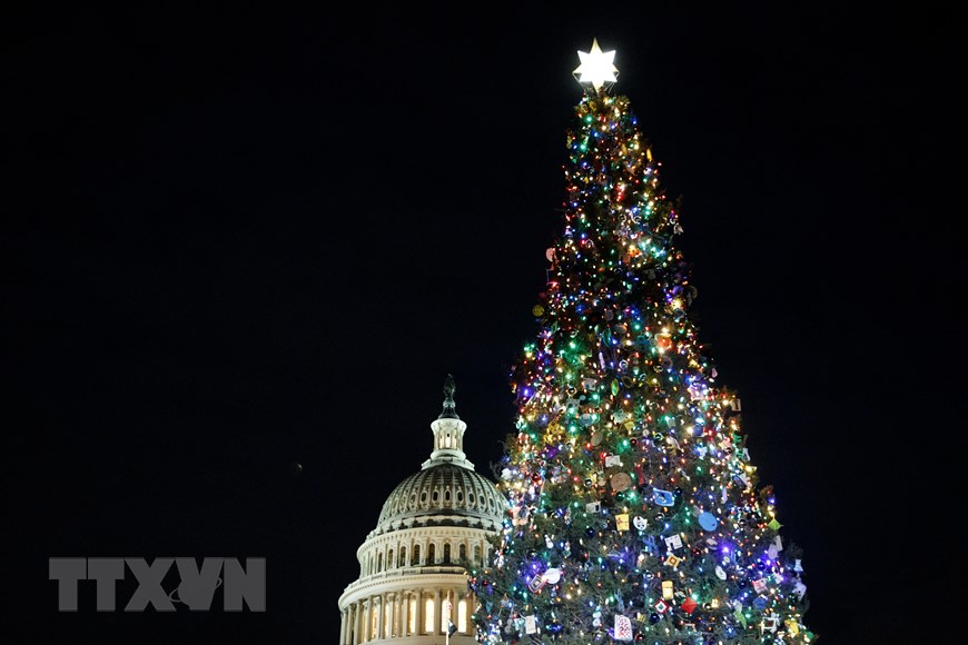 Cây thông Giáng sinh khổng lồ bên ngoài tòa nhà Quốc hội Mỹ ở Washington D.C., ngày 4/12/2019. (Ảnh: THX/TTXVN)