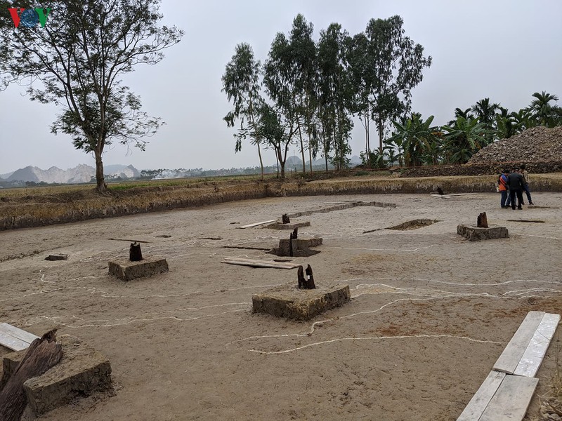 27 cọc gỗ có niên đại thế kỷ 13 - 15 được phát hiện tại bãi cọc Cao Quỳ (xã Liên Khê, huyện Thủy Nguyên, Hải Phòng).