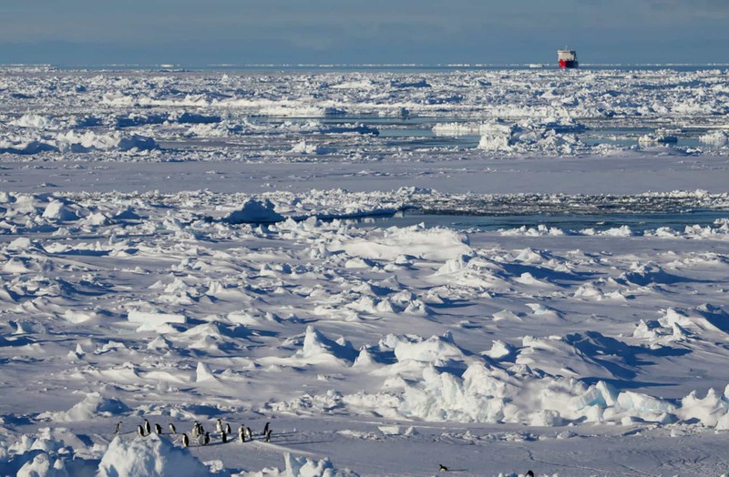 Băng ở Nam Cực thường dày từ 1 - 2 mét trong khi ở Bắc Cực là 2 - 3 mét. Thậm chí cả với những con tàu hiện đại ngày nay, việc phá vỡ những khối băng này không hề đơn giản.