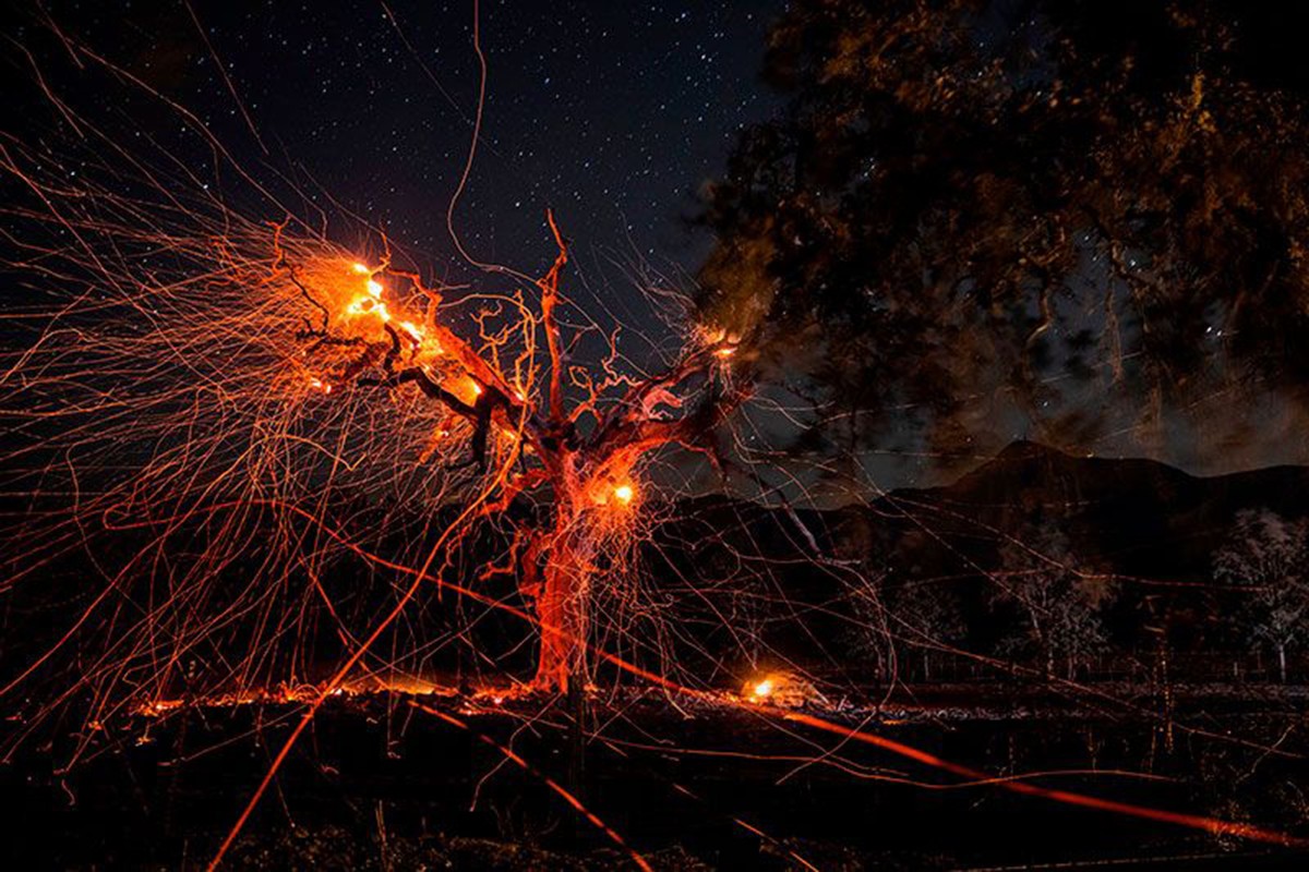 Bức ảnh phơi sáng dài này cho thấy đường đi của tàn tro bắn ra từ một thân cây đang bị thiêu rụi trong vụ cháy rừng lịch sử ở California vào tháng 10. Hiệu ứng hình ảnh biến khung cảnh hủy diệt thành một tác phẩm nghệ thuật mang vẻ đẹp trừu tượng.