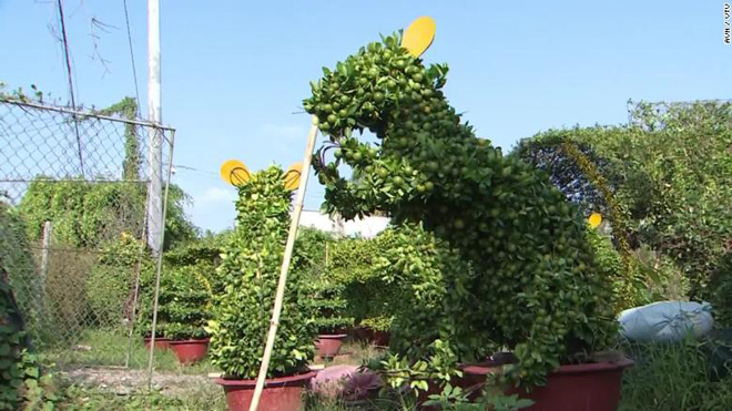 Đón Xuân Canh Tý, bonsai cam quật tạo hình dáng chuột
