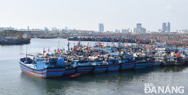 Ngư dân và chợ đầu mối thủy sản nghỉ Tết sớm