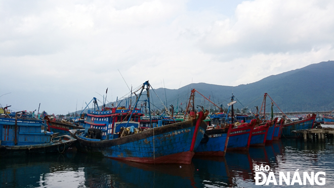 Âu thuyền và Cảng cá Thọ Quang Đà Nẵng mỗi năm tiếp nhận khoảng 18.000 lượt tàu cập cảng, là 1 trong 6 cảng cá lớn nhất cả nước.Ảnh: H.L