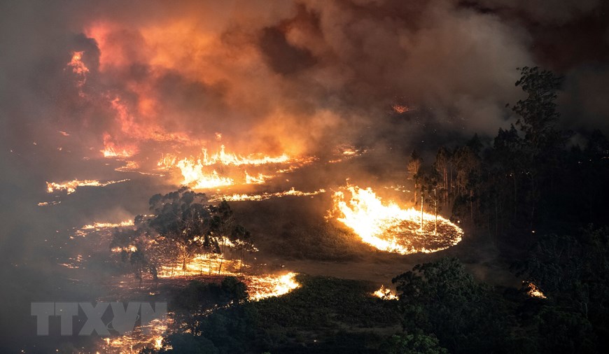 Ngày 2/1/2020, Thủ hiến bang New South Wales của Australia đã ban bố tình trạng khẩn cấp lần thứ ba trên phạm vi toàn bang do cháy rừng, cho phép các quan chức chính quyền bang được tiến hành sơ tán bắt buộc, phong tỏa các tuyến đường và làm mọi điều cần thiết để giữ an toàn cho người dân và tài sản. Trong ảnh: Các đám cháy rừng lan rộng tại bang Victoria, Australia. (Nguồn: AFP/TTXVN)