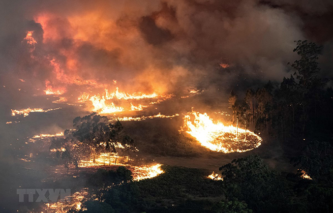 Các đám cháy rừng lan rộng tại bang Victoria, Australia. (Ảnh: AFP/TTXVN)