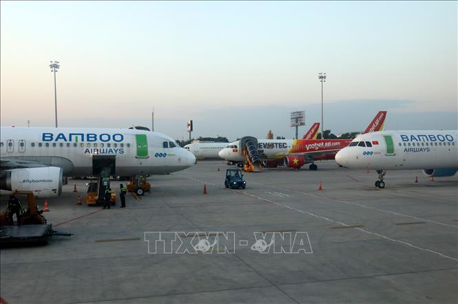  Máy bay của các hãng hàng không Việt Nam tại sân bay Nội Bài. Ảnh: Ngọc Hà/TTXVN