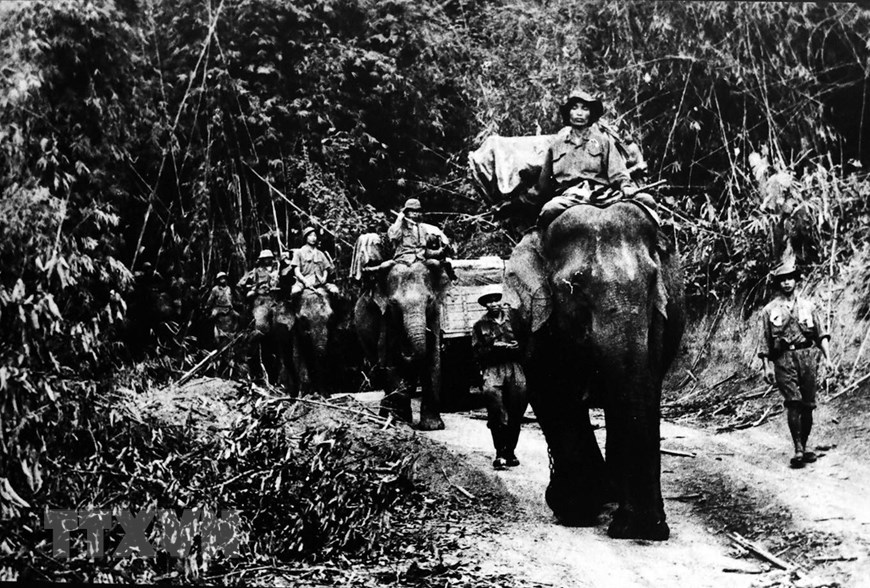 Sử dụng voi vận chuyển hàng từ làng Ho (tây Quảng Bình) vào các trạm 1, 2, 3, 4, 5 Bắc đường số 9, tháng 4/1962. (Ảnh: Tư liệu/TTXVN)