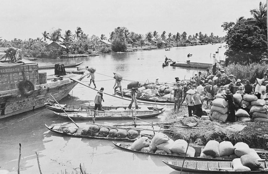  Nông dân xã Đông Hòa, huyện An Biên, tỉnh Kiên Giang chở lúa dư đến bán cho nhà nước (tháng 8/1978). (Ảnh: Trần Bình/TTXVN)
