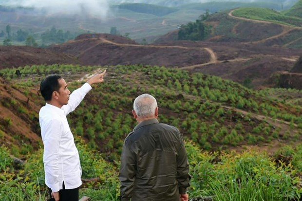 Indonesian President Joko Widodo (L) visits North Penajam Paser district in East Kalimantan, new capital city of Indonesia (Photo: AFP) 