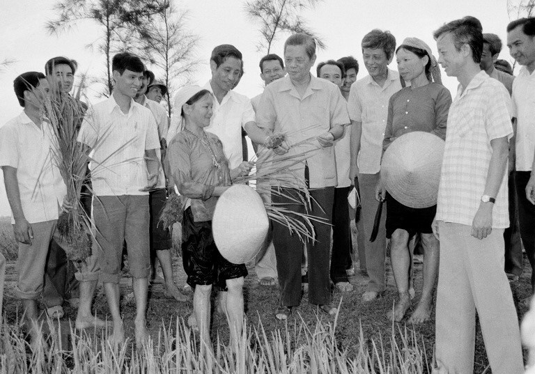 Tổng Bí thư Nguyễn Văn Linh thăm cánh đồng lúa Hợp tác xã Hải Vân, huyện Hải Hậu trong chuyến về thăm và làm việc tại tỉnh Hà Nam Ninh từ ngày 25 - 29/5/1988. Ản: Xuân Lâm - TTXVN