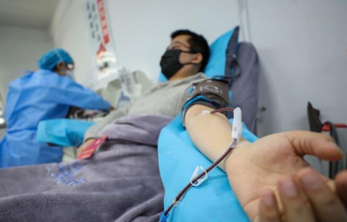 Huyết tương của người khỏi bệnh giúp điều trị bệnh nhân Covid-19