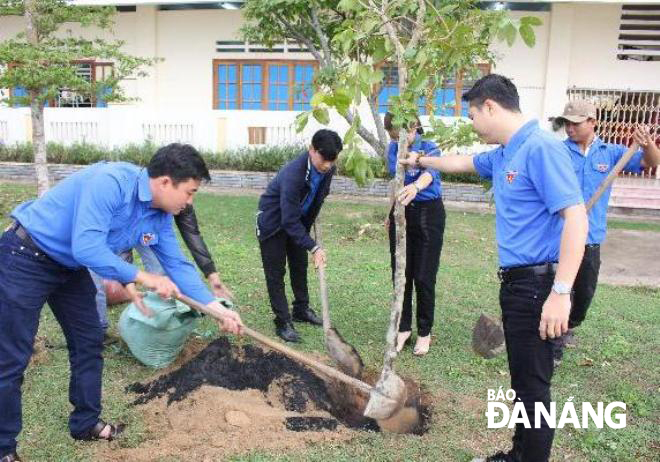 Tuổi trẻ Khối Các cơ quan thành phố Đà Nẵng trồng cây trong khuôn viên Trường THPT Võ Chí Công.
