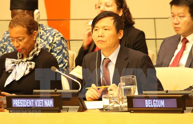 Ambassador Dang Dinh Quy chairs the review session at the UNSC (Photo: VNA)